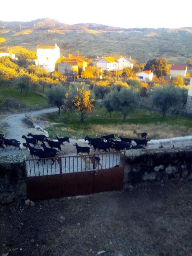 Pedregulho Experience Apartman Caldeirinhas Kültér fotó